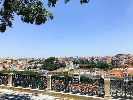 lisbon   portugal
lisbon's
lisbon portugal
lisbon
things to do at lisbon
things to do in lisbon
what to do in lisbon
lisbon in portugal
what to see lisbon
what to see in lisbon
best things to do lisbon
lisbon to do
things to see in lisbon
attractions lisbon
must see lisbon
things to see lisbon
top things to do lisbon
attractions in lisbon
lisbon attractions
lisbon things to do
places to visit in lisbon
places to visit lisbon
points of interest in lisbon
points of interest lisbon
best thing to do in lisbon
lisbon sights to see
lisbon what to do
sightseeing lisbon
things to do in lisbon portugal
lisbon must see
lisbon what to see
top things to do in lisbon
sightseeing in lisbon
lisbon sightseeing
must see in lisbon
sights to see in lisbon
lisbon portugal things to do
lisbon is where
best things to do in lisbon
lisbon sights
sights in lisbon
things to do lisbon
lisbon tourist attractions
tourist attraction in lisbon
tourist attractions in lisbon
tourist attractions lisbon
where lisbon
where is lisbon
best places to visit lisbon
must do in lisbon
sights lisbon
lisbon top attractions
sights of lisbon
portugal lisbon
best of lisbon
lisbon top 10
things to see in portugal lisbon
top 10 things to do in lisbon
what to do in lisbon portugal
what to do in portugal lisbon
what is lisbon famous for
things to do portugal
lisbon spain
things to do in lisbon february
what to see in lisbon portugal
lisbon sites
top 10 lisbon
best things to do in lisbon portugal
lisbon portugal attractions
top sights in lisbon
must do lisbon
what to do and see in lisbon
fun things to do in lisbon
highlights of lisbon
what to do lisbon portugal
things to do in portugal
best places in lisbon
lisbon portugal tourist attractions
must dos in lisbon
what is lisbon known for
places to see in lisbon
to do in lisbon
what is there to do in lisbon
what to do in lisbon today