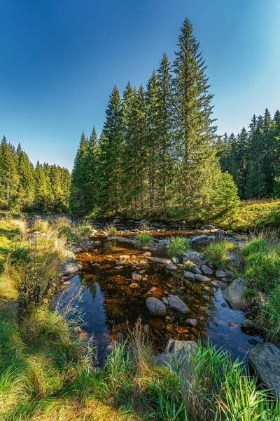 sumava-35