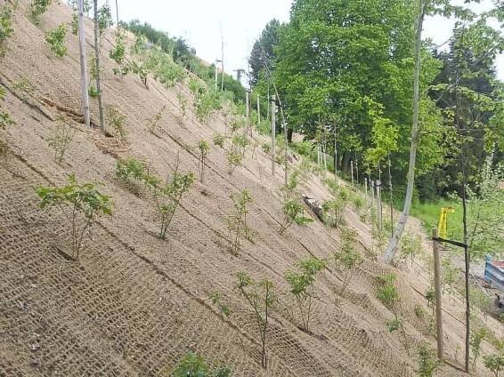 Kokosová síť pro zpevnění svahů – Geomanet K EKO | GEOmall.cz