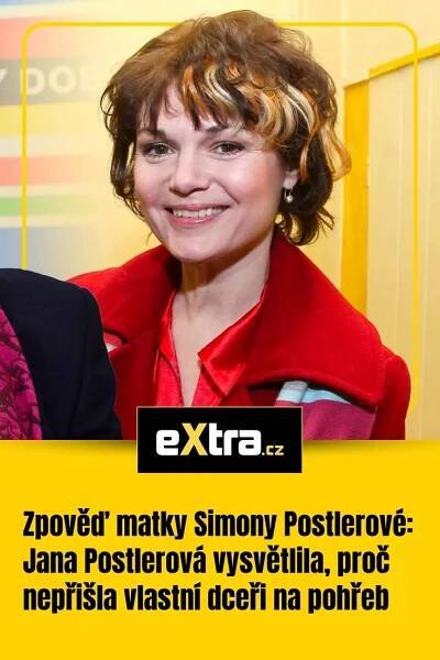 Obrázek příběhového pinu