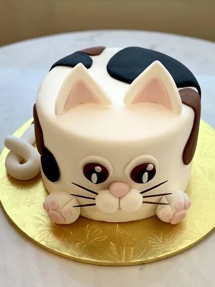 a cat cake sitting on top of a gold plate