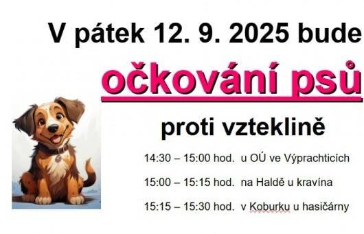 Obrázek: Očkování 2025