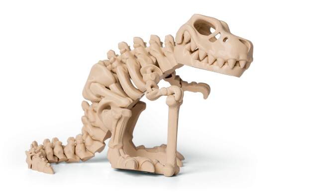 T-Rex kostra 2