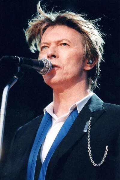 David Bowie performs live onstage at Verizon Amphitheater on August 13, 2002.