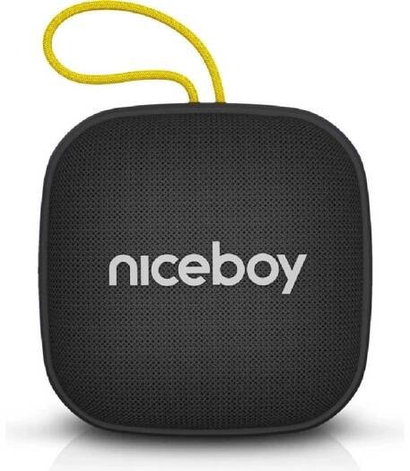 Niceboy RAZE Mini 4