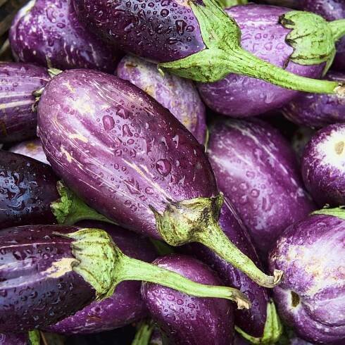Aubergine: Diese Nährstoffbombe macht satt und schlank