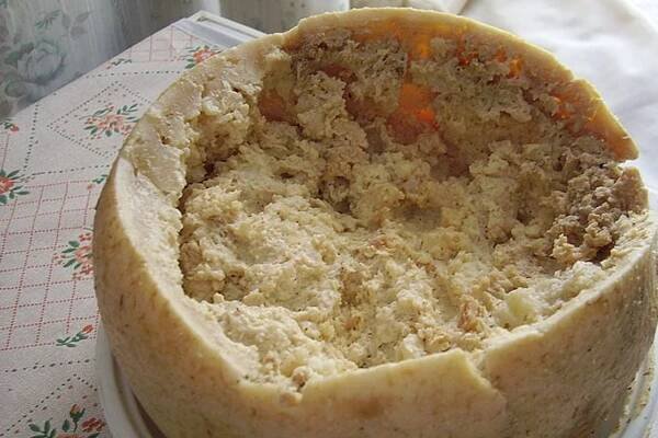 Behold, Casu Marzu! Or Sardinian maggot cheese. : r/oddlyterrifying