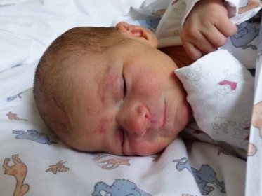 Aneta Kuřetová se narodila 22. listopadu 2020 v kolínské porodnici, vážila 3185 g a měřila 50 cm. Ve Svatém Mikuláši se z ní těší maminka Klára a tatínek Vojtěch.
