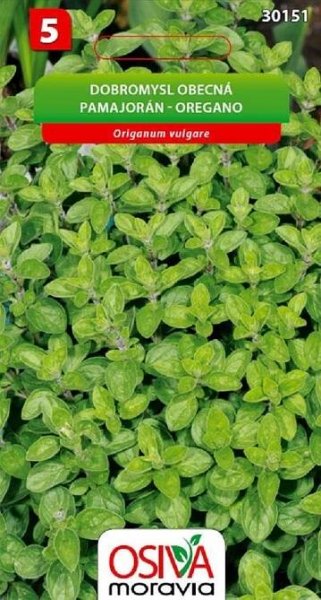 Semínka Dobromysl obecná (Origanum vulgare)