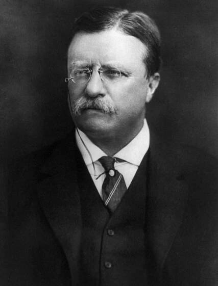 Volba prezidenta Spojených států amerických – Wikipedie