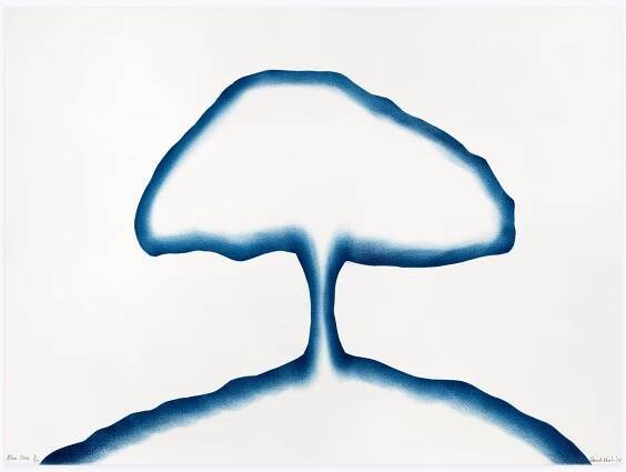 David Nash - artiste - Galerie Lelong