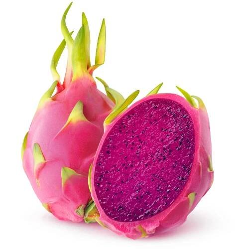 Pitahaya - Dračí ovoce (Hylocereus undatus)