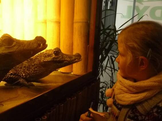 Přírodovědný kroužek (pokročilí) - Krokodýlí zoo v Holešovicích