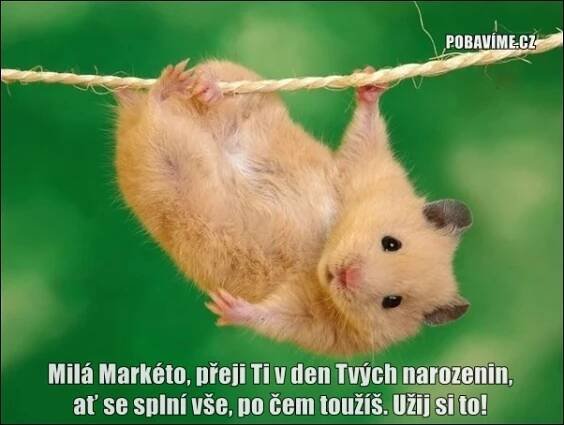 Přání k narozeninám pro Markétu | Pobavime.cz