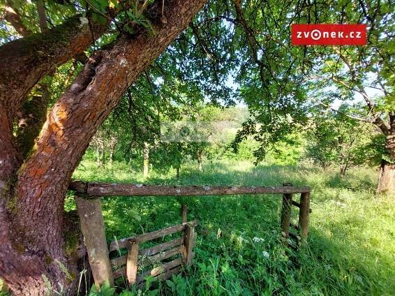 Prodej Pozemek, Vápenice, okres Uherské Hradiště