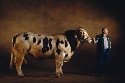 Animals Farms | Yann Arthus-Bertrand's Photos