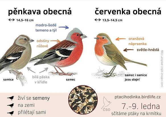 Ptáci středoevropští | Omfórum