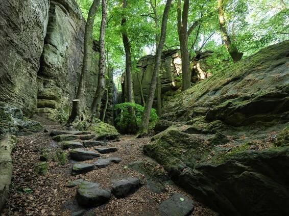Hiking made easy: seven trails less than 7km