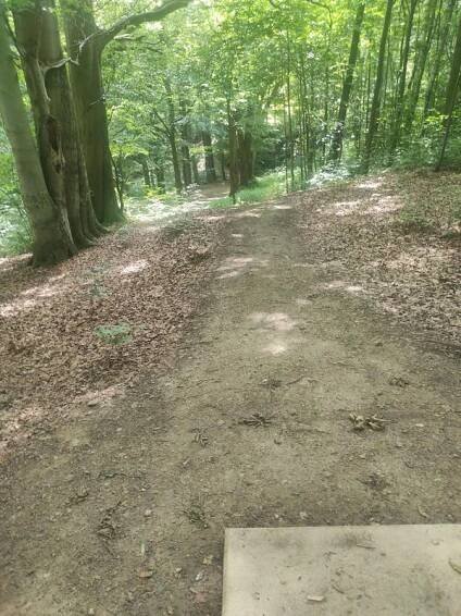 Discgolfové hřiště Myslivna foto 3