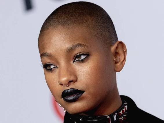 Willow Smith's New Braids Are the Very Definition of “If It Ain't Broke, Don't Fix It” — See the Photos