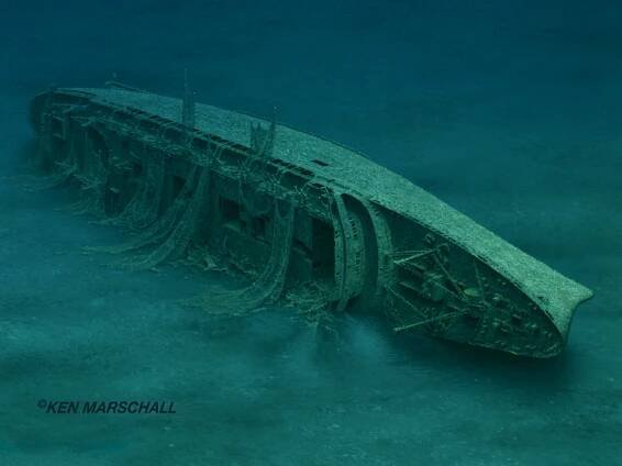 Andrea Doria Gallery - Richie Kohler