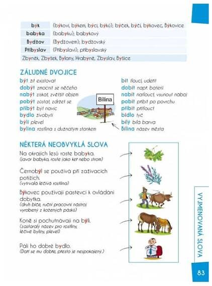 Infoa - Čeština - barevná gramatika - Školní brašnička.cz