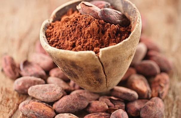 Positive impact for cocoa growers - Organic & Natural Business magazine