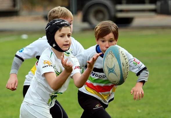 Rugby v Petrovicích 8.11.2018