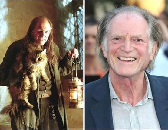 FOTO: Jak vypadají herci z prvního Harryho Pottera po 14 letech?