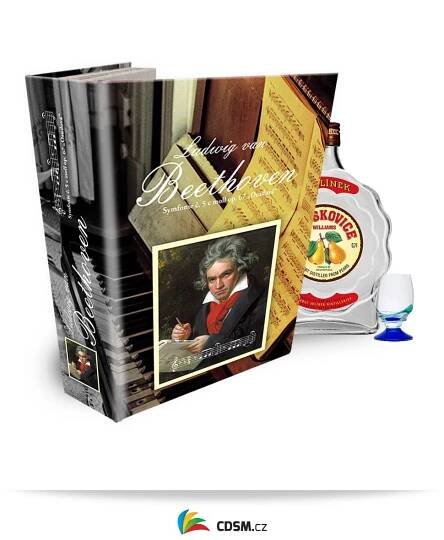 Ludwig van Beethoven, Osudová - Velká léčivá kniha | Centrum digitálních služeb MINO