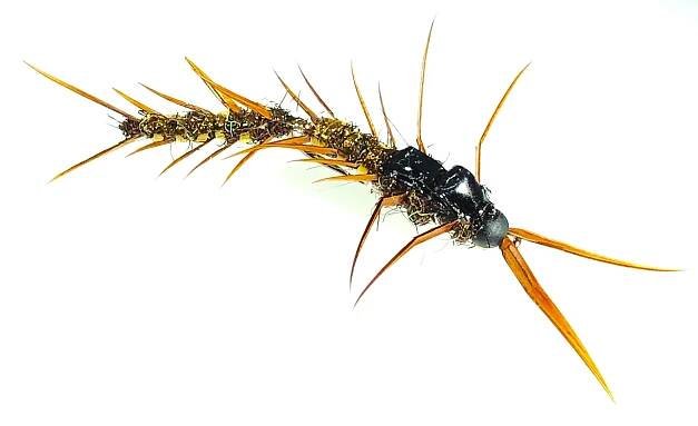 Articulated Hellgrammite - Image source: SD Fly Angler