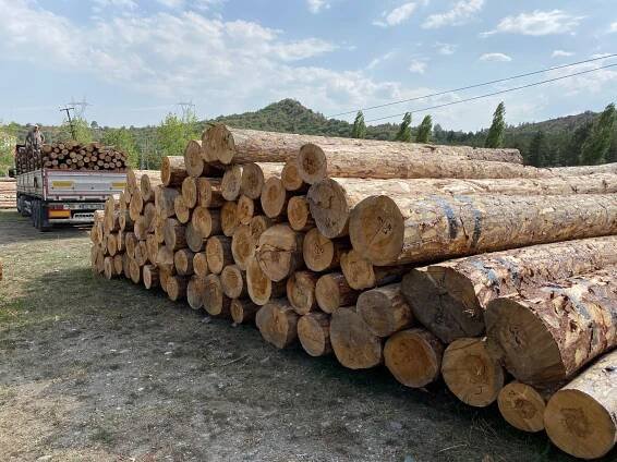 Ürünlerimiz – Pelit Palet