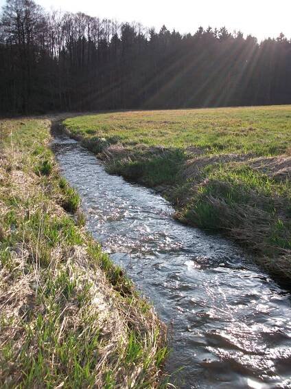 Gruna (Wesenitz)