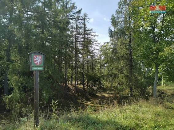 Prodej tufitového lomu, 13529 m2, Razová