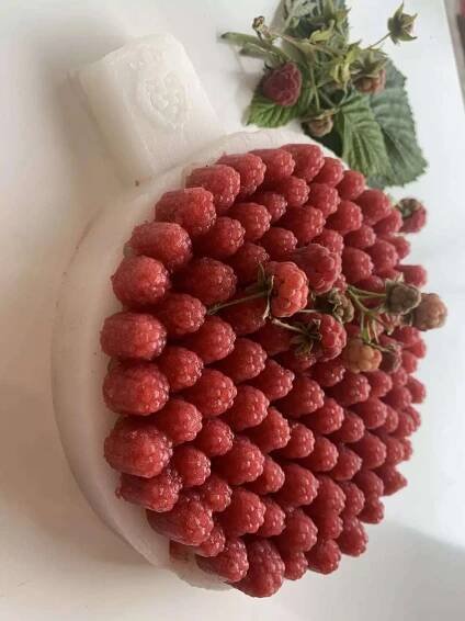 Raspberry Blackberry - Obrázek 17