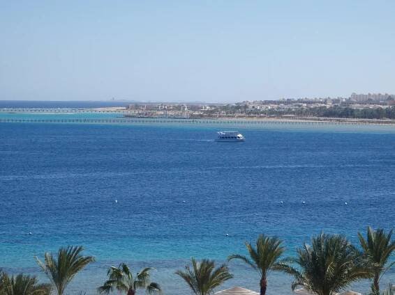 Fort Arabesque Resort, Spa & Villas Snorkeling: Pictures & Reviews - Tripadvisor
