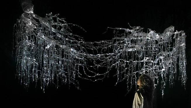 Econtinuum by Thijs Biersteker in collaboration with Stefano Mancuso Part of the inaugural exhibition at Nxt Museum Shifting Proximities opening 29 August Thijs Bierstekerjpg min