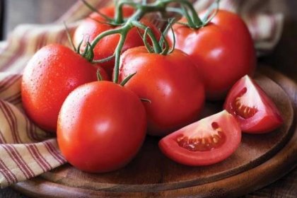 Nejvýnosnější odrůdy rajčat: fotografie, názvy a popisy (katalog)
