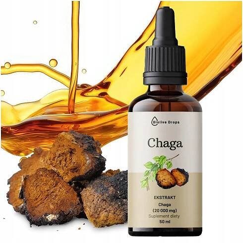 CHAGA Kapky Extrakt Adaptogeny Mikromolekulární doplněk 20 000 mg 50 ml