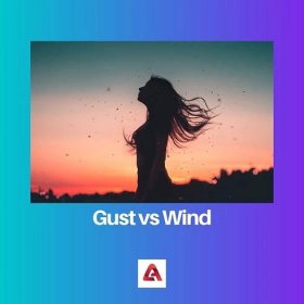 Poryv vs větru: Rozdíl a srovnání