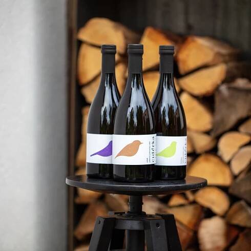 Cidérka s.r.o. (Cidérka - moravský řemeslný cider a mošt) – Obchodiště.cz