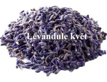 Levandule sušené květy
