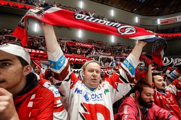 Glosa: Pozdě, ale přece. Fanoušci přiměli vedení Dynama nestrčit hlavu do písku