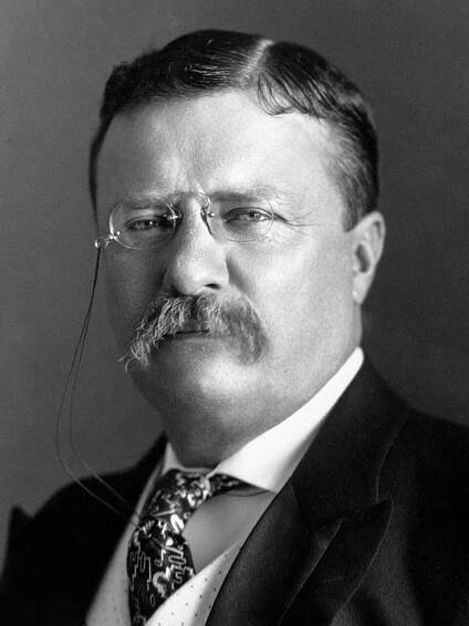 File:Theodore Roosevelt by the Pach Bros (cropped 3x4).jpg