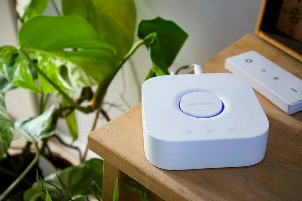 bezplatná Chytrý rozbočovač Philips vedle listnaté rostliny ve stylovém vnitřním prostředí, představující moderní domácí automatizaci. Základová fotografie