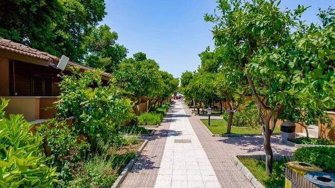 Ozlem Garden 3* Side