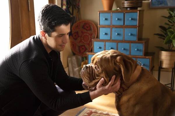 Turner a Hooch - Hooch Machina - Z filmu