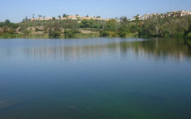 A large body of water with trees in the background