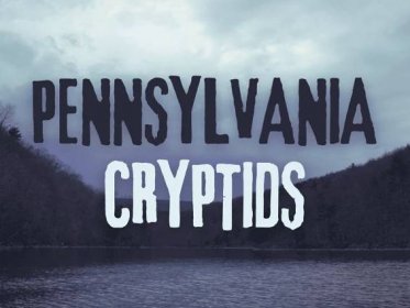 Top 10 Cryptids in Pennsylvania: Squonk, Bigfoot, and More