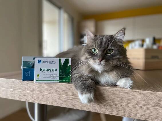 Keravita®